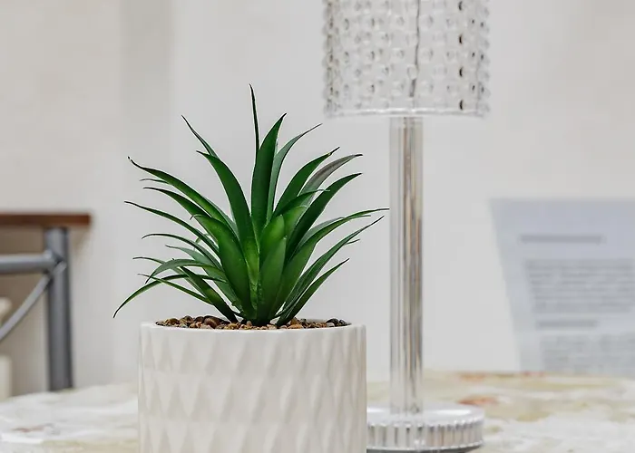 Apartment Q1 Holiday *